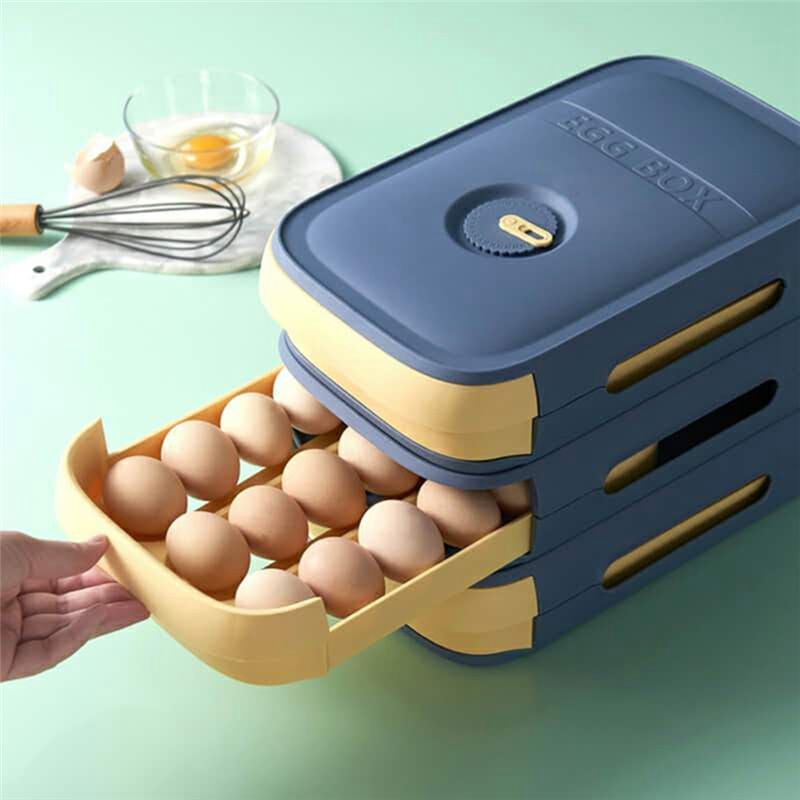 AEE6-卵収納容器 冷蔵庫用引き出し式卵トレイ 冷蔵庫オー - Food Storage Types のレビューと価格